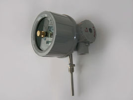 隔爆雙金屬溫度計(jì)